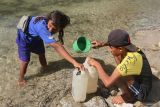 Masyarakat di lima kabupaten di NTT diimbau waspada angin kencang