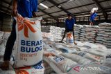 Pekerja melakukan bongkar muat beras di Gudang Bulog Utama, Cimahi, Jawa Barat, Rabu (11/9/2024). Badan Pangan Nasional (Bapanas) mencatat, Indonesia akan memiliki stok beras sebesar 8,13 juta ton hingga akhir tahun ini, apabila produksi dalam negeri tercapai 30,8 juta ton. ANTARA FOTO/Raisan Al Farisi/agr