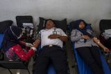 Petugas PMI melakukan transfusi darah pendonor saat kegiatan donor darah di Terminal Tipe A Pakupatan, Kota Serang, Banten, Kamis (12/9/2024). Kegiatan donor darah yang digelar dalam rangka Hari Perhubungan Nasional 2024 tersebut di gelar serentak di seluruh terminal Tipe A di Indonesia dengan menargetkan 50 hingga 100 kantong darah per titik. ANTARA FOTO/Angga Budhiyanto/gp