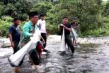 Warga Padang-Pariaman pertahankan tradisi menangkap ikan larangan jelang maulid nabi (Video)