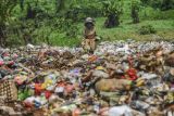 Pemulung memungut sampah di TPA Bangkonol, Pandeglang, Banten, Jumat (13/9/2024). Pemerintah Kabupaten Pandeglang menampung pembuangan sampah dari Kabupaten Serang dan Kota Tangerang Selatan di tiga TPA di Pandeglang dengan jumlah kiriman sampah dari daerah tersebut dapat mencapai 60 truk per hari atau sebanyak 6 ton sampah per harinya dengan menerima bayaran sebesar Rp15 juta per hari. ANTARA FOTO/Muhammad Bagus Khoirunas/gp