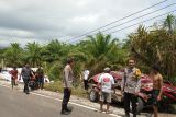 Polisi periksa pengemudi truk kecelakaan di jalan lintas Pesisir Barat