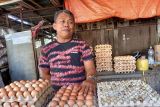 Harga telur ayam ras melonjak menjelang peringatan Maulid