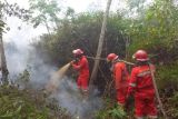 Januari-September 2024, lahan terbakar di Sumsel capai 2.948 hektare