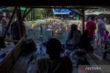 Pengunjung berenang di Situ Cibulakan, Kecamatan Ciomas, Kabupaten Serang, Banten, Senin (16/9/2024). Wisata Situ Cibulakan menjadi salah satu destinasi yang ramai dikunjungi warga pada hari libur peringatan Maulid Nabi Muhammad SAW. ANTARA FOTO/Angga Budhiyanto/gp