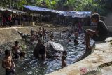 Pengunjung berenang di Situ Cibulakan, Kecamatan Ciomas, Kabupaten Serang, Banten, Senin (16/9/2024). Wisata Situ Cibulakan menjadi salah satu destinasi yang ramai dikunjungi warga pada hari libur peringatan Maulid Nabi Muhammad SAW. ANTARA FOTO/Angga Budhiyanto/gp