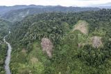 Foto udara perambahan kayu secara ilegal dalam kawasan Taman Nasional Kerinci Seblat (TNKS), Merangin, Jambi, Selasa (17/9/2024). Komunitas Konservasi Indonesia (KKI) Warsi menyebutkan dalam kurun waktu 50 tahun Provinsi Jambi telah kehilangan lebih dari 2,4 juta hektare tutupan hutan yaitu dari 3,4 juta hektare pada 1973 menjadi 922.891 hektare pada 2023 akibat perubahan kawasan hutan menjadi areal penggunaan lain di antaranya perkebunan. ANTARA FOTO/Wahdi Septiawan/nym.