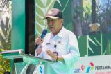 Pemerintah rehabilitasi lahan di lereng Bukit Menoreh