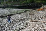 Warga melintasi areal Waduk Bendo dengan sebagian dasar waduknya yang mengering di Kabupaten Ponorogo, Jawa Timur, Jumat (20/9/2024). Waduk yang memiliki kapasitas 43 juta meter kubik air tersebut sejak sekitar sebulan terakir airnya terus menyusut dan sebagian daerah genangan sudah mulai mengering akibat musim kemarau. Antara Jatim/Siswowidodo/um 