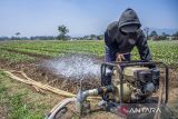 Petani mengoperasikan mesin pompa air untuk mengairi lahan pertanian yang mengering di Batujajar, Kabupaten Bandung Barat, Jawa Barat, Jumat (20/9/2024). Menurut data Pusdatin Kementan hingga 12 September 2024, program pompanisasi telah berhasil mengairi lahan tadah hujan seluas 1.048.930 hektare atau 91,99 persen dari target yang telah ditetapkan dan sepanjang tahun 2024 Kementan telah mengalokasikan 62.378 unit pompa alsintan dan 9.904 unit irigasi perpompaan. ANTARA FOTO/Abdan Syakura/agr
