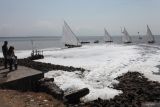 Gumpalan busa putih mengalir dari sungai menuju ke pantai di dekat jembatan Suramadu, Surabaya, Jawa Timur, Sabtu (21/9/2024). Busa putih yang mengalir ke pantai itu muncul diduga karena pencemaran limbah. ANTARA Jatim/Didik Suhartono/mas.