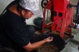 Pelaku usaha mengupas kulit kopi menggunakan mesin giling di sebuah industri rumahan pengolahan kopi di Kare, Kabupaten Madiun, Jawa Timur, Minggu (22/9/2024). Industri rumahan tersebut mengolah biji kopi Arabika dan Robusta hasil produksi dari tanaman di lereng Gunung Wilis menjadi roasted beans atau kopi sangrai dan kopi bubuk yang dipasarkan ke sejumlah daerah antara lain Jakarta, Yogyakarta dan Surabaya dengan harga antara Rp30 ribu hinga Rp400 ribu per kemasan 100 gram hingga 1 kg. Antara Jatim/Siswowidodo/um 