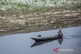 Warga menggunakan perahu melintas di aliran sungai Citarum yang menyusut di Cihampelas, Kabupaten Bandung Barat, Jawa Barat, Minggu (22/9/2024). BMKG memprediksi puncak musim hujan di Indonesia bagian barat akan terjadi bulan November - Desember 2024 dari 303 Zona Musim meliputi Sumatra, pesisir selatan Jawa, Kalimantan dan pada bulan Januari - Februari 2025 sebanyak 250 Zona Musim diprediksi akan mengalami puncak musim hujan meliputi Lampung, Pulau Jawa bagian Utara, sebagian kecil pulau Sulawesi, Bali, NTB, NTT serta sebagian besar Papua. ANTARA FOTO/Abdan Syakura/agr
