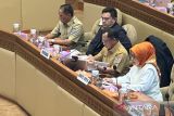 Mendagri: 79 RUU Kabupaten/Kota memberikan kepastian hukum