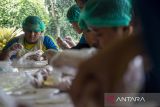 Anak-anak penyandang disabilitas mengikuti kelas memasak saat Camp For Disability 2024 di Lembang, Kabupaten Bandung Barat, Jawa Barat, Jumat (27/9/2024). Kegiatan yang digelar oleh Our Dream Indonesia dan diikuti oleh 279 anak penyandang disabilitas beserta keluarga tersebut bertujuan untuk memberikan edukasi serta melatih kemandirian dan kreativitas anak penyandang disabilitas. ANTARA FOTO/Abdan Syakura/agr