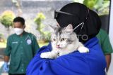 Warga membawa seekor kucing saat akan diberikan suntikan vaksin rabies saat peringatan Hari Rabies Sedunia 2024 di Kantor Dinas Peternakan dan Kesehatan Hewan Provinsi Kalimantan Timur di Samarinda, Kaltim, Sabtu (28/9/2024). Disnakkeswan Kaltim menyediakan 435 vaksin rabies untuk anjing dan kucing lokal maupun ras secara gratis untuk memperingati Hari Rabies Sedunia guna mendukung Kaltim bebas rabies. Seorang warga membetulkan pipa yang berada di kolam kawasan jalan AW Syahrani, gang Pandan Mekar Dalam, RT 34, Kelurahan Air Hitam, Kecamatan Samarinda Ulu, Samarinda, Kalimantan Timur, Senin (23/9/2024). Menurut Ali yang telah menetap 10 tahun di kawasan itu, ada sekitar 40 rumah yang belum pernah merasakan pelayanan air bersih dari Perusahaan umum daerah air minum (Perumdam) terpaksa memanfaatkan dari kolam alami tersebut untuk mencuci bahkan mandi. Antara Kaltim/M Risyal Hidayat