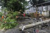 Petugas Telkom memeriksa aliran kabel jaringan yang rusak diterjang angin kencang di Jalan Hardiwinangun Rangkasbitung, Lebak, Banten, Sabtu (28/9/2024). BPBD Kabupaten Lebak mencatat bencana angin kencang yang merobohkan tujuh pohon di kawasan Rangkasbitung tersebut menyebabkan lima unit rumah rusak, dua perkantoran rusak, puluhan makam rusak, aliran listrik dan jaringan internet terputus. ANTARA FOTO/Muhammad Bagus khoirunas/gp