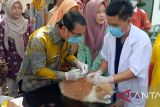 Distan OKU gelar gebyar vaksinasi pada Hari Rabies Sedunia