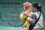 Warga membawa kucing usai diberikan suntikan vaksin rabies saat peringatan Hari Rabies Sedunia 2024 di Kantor Dinas Peternakan dan Kesehatan Hewan Provinsi Kalimantan Timur di Samarinda, Kaltim, Sabtu (28/9/2024). Disnakkeswan Kaltim menyediakan 435 vaksin rabies untuk anjing dan kucing lokal maupun ras secara gratis untuk memperingati Hari Rabies Sedunia guna mendukung Kaltim bebas rabies. Antara Kaltim/M Risyal Hidayat