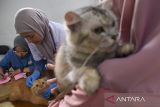 Dokter hewan memeriksa kesehatan kucing sebelum vaksinasi rabies saat Hari Rabies Sedunia di Kabupaten Tasikmalaya, Jawa Barat, Sabtu (28/9/2024). Dinas Pertanian, Ketahanan Pangan dan Perikanan (DPKPP) Kabupaten Tasikmalaya menyediakan 1.000 dosis vaksin rabies gratis untuk mengantisipasi penyebaran virus pada hewan peliharaan dalam mendukung Indonesia zero rabies 2030. ANTARA FOTO/Adeng Bustomi/agr
