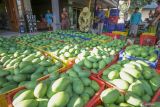 Calon Gubernur Jawa Timur Khofifah Indar Parawansa (tengah) membeli buah mangga alpukat di Desa Oro-Oro Ombo Kulon, Kecamatan Rembang, Kabupaten Pasuruan, Jawa Timur, Minggu (29/9/2024). Calon Gubernur Jawa Timur nomor urut 2 tersebut kampanye dengan mangajak warga untuk mengembangkan produksi buah mangga dan meningkatkan daya tarik pengunjung ke kampung petik buah mangga. Antara Jatim/Umarul Faruq