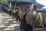 Masyarakat adat Kasepuhan Cisungsang membawa padi saat tradisi Seren Taun di Desa Cisungsang, Lebak, Banten, Minggu (29/9/2024). Seren Taun Kasepuhan Cisungsang yang biasa dilaksanakan pada bulan Rayagung dalam kalender masyarakat sunda tersebut sebagai ungkapan rasa syukur sekaligus menghormati Nyi Pohaci yaitu dewi padi atas panen berlimpah pada tahun ini. ANTARA FOTO/Muhammad Bagus Khoirunas/gp