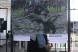 Pengunjung melihat foto karya pewarta foto ANTARA Budi Candra yang dipajang dalam pameran foto bertajuk Tanpa  Batas di Gedung Instalasi Perikanan Budidaya, Punten, Batu, Jawa Timur, Minggu (29/9/2024). Pameran yang berlangsung selama dua hari tersebut menampilkan sekitar 50 karya dari alumni Jurnalistik Fotografi Club (JUFOC) yang bekerja di media massa maupun fotografer muda dari berbagai daerah. ANTARA Jatim/Ari Bowo Sucipto/mas.