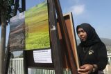 Pengunjung melihat foto karya pewarta foto ANTARA Muhammad Mada yang dipajang dalam pameran foto bertajuk Tanpa  Batas di Gedung Instalasi Perikanan Budidaya, Punten, Batu, Jawa Timur, Minggu (29/9/2024). Pameran yang berlangsung selama dua hari tersebut menampilkan sekitar 50 karya dari alumni Jurnalistik Fotografi Club (JUFOC) yang bekerja di media massa maupun fotografer muda dari berbagai daerah. ANTARA Jatim/Ari Bowo Sucipto/mas.