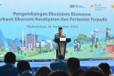 Pengembangan Biomassa PLN di Tasikmalaya: dikelola masyarakat, didukung pemerintah