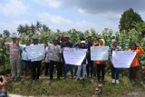 Sejumlah petani yang tergabung dalam Asosiasi Petani Tembakau Indonesia melakukan aksi unjuk rasa di lahan tembakau Besuki Na-Oogst di Desa Nogosari, Rambipuji, Jember, Jawa Timur, Senin (30/9/2024). Mereka menolak Peraturan Pemerintah (PP) No.28/2024 dan rancangan Peraturan Menteri Kesehatan (Permenkes) tentang Pengaturan Industri Hasil Tembakau (IHT) dirasa meresahkan petani tembakau dan mempengaruhi 2,3 juta tenaga kerja di sektor IHT dan produk turunannya. Antara Jatim/Seno/um