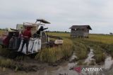 Pemkab Penajam ajak petani milenial penuhi kebutuhan pangan IKN