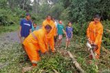 BPBD OKU Selatan bersihkan pohon tumbang  akibat angin kencang