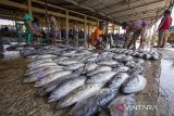 Nelayan mengumpulkan ikan hasil tangkapan sebelum di lelang di tempat pelelangan ikan Majakerta, Balongan, Indramayu, Jawa Barat, Senin (30/9/2024). Kementerian Perikanan dan Kelautan mencatat produksi perikanan tangkap pada triwulan II tahun 2024 sebesar 3,34 juta ton atau mencapai 111,30 persen dari target triwulan II tahun 2024 sebesar 3 juta ton. ANTARA FOTO/Dedhez Anggara/agr