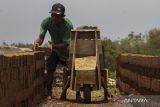 Pekerja menata batu bata untuk dikeringkan di Kecamatan Taktakan, Kota Serang, Banten, Senin (30/9/2024). Kementerian Koperasi dan UKM (Kemenkop UKM) mencatat realisasi penyaluran Kredit Usaha Rakyat (KUR) telah mencapai Rp209,84 triliun per 19 September 2024 yang tersalurkan kepada 3,60 juta debitur, dengan demikian jumlah tersebut sudah mencapai 73,85 persen dari target realisasi tahun 2024. ANTARA FOTO/Angga Budhiyanto/gp