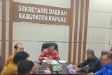 Pemkab Kapuas kerja sama penanaman biomassa dengan PLN