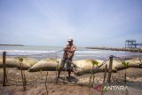 Ketua kelompok nelayan Junti Indah Lestari (JIL) Asngarih (49) memasang jaring penghalau sampah di Pantai Rembat, Juntinyuat, Indramayu, Jawa Barat, Selasa (1/10/2024). Pemasangan jaring penghalau sampah pantai yang dilakukan secara swadaya itu guna meminimalisir pencemaran sampah sekaligus untuk menjaga ekosistem mangrove di tepi pantai. ANTARA FOTO/Dedhez Anggara/agr