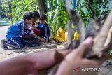 Pelajar memasukkan sampah daun kering ke dalam lubang komposter di SDN Sukamaju 2, Kota Cimahi, Jawa Barat, Selasa (1/10/2024). Pemkot Cimahi menginisiasi program Sekolah Ramah Lingkungan Kota Cimahi (Seralikoci) dalam rangka meningkatkan kualitas lingkungan dan mewujudkan sekolah peduli lingkungan khususnya pengelolaan sampah guna tercapainya target Cimahi Zero TPA pada tahun 2025. ANTARA FOTO/Abdan Syakura/agr