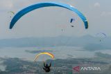 Peserta kategori Cross Country mengudara di atas Waduk Jatigede saat mengikuti West Java Paragliding Championship di Batu Dua, Kabupaten Sumedang, Jawa Barat, Selasa, (1/10/2024). Kejuaraan Intenasional Paralayang yang diikuti 99 peserta dari 10 negara di Eropa dan Asia tersebut digelar sebagai ajang untuk mengasah bakat potensial agar dapat bersaing pada kompetisi internasional serta menjadi salah satu langkah untuk mendongkrak potensi wisatawan yang berkunjung ke Kabupaten Sumedang. ANTARA FOTO/Raisan Al Farisi/agr