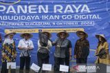 Wakil Menteri Kominfo Nezar Patria (ketiga kanan) didampingi Direktur Ekonomi Digital Kominfo Bonifasius Wahyu Pudjianto (ketiga kiri), Head of Regulatory and Government Affairs eFishery Luciana Dita Chandra (kanan) serta jajaran pejabat pemerintahan Kabupaten Sukabumi melakukan kegiatan panen raya saat meninjau Program Pembudidaya Ikan Go Digital di Kabupaten Sukabumi, Jawa Barat, Kamis (3/10/2024). Kemenkominfo berkolaborasi dengan perusahaan teknologi akuakultur asal Indonesia eFishery memberikan 60 eFeeder atau alat pemberi makan ikan otomatis buatan eFishery bagi 60 orang pembudidaya ikan di Sukabumi dan Pasuruan sehingga mampu meningkatkan efisiensi pakan hingga 30 persen dan meningkatkan kapasitas produksi hingga 25 persen. ANTARA FOTO/Novrian Arbi/agr
