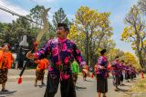 Sejumlah peserta menari Sanduk berlatar belakang bunga Tabebuya saat mengikuti lomba tari Sanduk di Jalan Ksatrian Pusdik Arhanud, Batu, Jawa Timur, Sabtu (5/10/2024). Agenda yang diikuti ratusan peserta itu diinisiasi pemerintah setempat bersama Pusat Pendidikan Artileri Pertahanan Udara (Pusdik Arhanud) sebagai upaya mempromosikan pariwisata Kota Batu dan memeriahkan perayaan Hari Ulang Tahun (HUT) ke-79 TNI. Antara Jatim/Muhammad Mada/um 