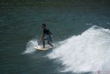 Warga berolahraga selancar di Pantai Pancer, Puger, Jember, Jawa Timur, Minggu (6/10/2024). Kegiatan itu diinisiasi oleh Puger Surf untuk mengedukasi masyarakat tentang olahraga selancar dan menghidupkan ekosistem pariwisata di kawasan pesisir selatan Jember. Antara Jatim/Seno/um 