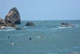 Sejumlah warga menunggu ombak saat bermain selancar di Pantai Pancer, Puger, Jember, Jawa Timur, Minggu (6/10/2024). Kegiatan itu diinisiasi oleh Puger Surf untuk mengedukasi masyarakat tentang olahraga selancar dan menghidupkan ekosistem pariwisata di kawasan pesisir selatan Jember. Antara Jatim/Seno/um 