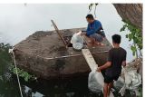 DKP distribusi bantuan bibit ikan nila ke 50 kelurahan di Mataram