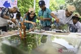 Peserta menata tanaman di dalam akuaskap saat mengikuti Lomba Quick Setting Aquascape di GSG Tigaraksa, Kabupaten Tangerang, Banten, Selasa (8/10/2024). Dinas Perikanan Kabupaten Tangerang menyelenggarakan lomba membuat akuaskap atau akuarium ikan hias yang diikuti 45 tim guna memperkenalkan sektor perikanan ikan hias yang memiliki nilai ekonomis tinggi kepada masyarakat. ANTARA FOTO/Sulthony Hasanuddin/gp