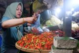 Pedagang cabai memasukan cabai ke pelastik di Pasar Teratai Jeruju, Pontianak, Kalimantan Barat, Selasa (8/10/2024). Pedagang di pasar tersebut mengatakan saat ini harga cabai merah mengalami penurunan dari Rp100 ribu per kilogram menjadi Rp65 ribu per kilogram. Antara Kalbar/Edo Saputra/Jhw.