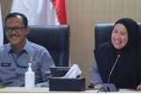 Penguatan fungsional pastikan efektivitas penegakan HAM
