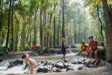 Sejumlah anak bermain air saat mengunjungi Kali Pinusan Poncosumo di Lumajang, Jawa Timur, Rabu (9/10/2024). Perum Perhutani Kesatuan Pemangkuan Hutan (KPH) Probolinggo bekerjasama dengan BUMDes setempat mengembangkan wana wisata untuk meningkatkan produktivitas lahan kawasan hutan produksi. Antara Jatim/Irfan Sumanjaya/um