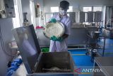 Pekerja menyelesaikan produksi keju mozarella artisan di rumah produksi Ganesha Sora, Lembang, Kabupaten Bandung Barat, Jawa Barat, Rabu (9/10/2024). Rumah produksi keju mozarella tersebut dalam sehari mampu memproduksi 120 kilogram keju mozarella dari bahan baku 1.200 liter susu, yang selanjutnya dijual Rp45 ribu per 200 gram dan dipasarkan ke swalayan di Jabodetabek, Jawa Tengah, Jawa Timur dan Bali. ANTARA FOTO/Abdan Syakura/agr