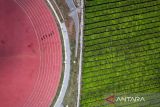 Foto udara atlet lokal Pangalengan yang mencoba lintasan lari di Pusat Pelatihan Atletik Nasional usai diresmikan di Desa Bandasari, Pangalengan, Kabupaten Bandung, Jawa Barat, Kamis (10/10/2024). Pusat Pelatihan Atletik Nasional yang memiliki fasilitas pusat kebugaran, lintasan lari, lompat jauh, lempar lembing, dan asrama berkapasitas 90 orang tersebut ditujukan untuk mempersiapkan atlet dalam menghadapi kejuaraan intenasional. ANTARA FOTO/Raisan Al Farisi/agr

