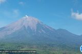 Gunung Semeru erupsi setinggi 400 meter